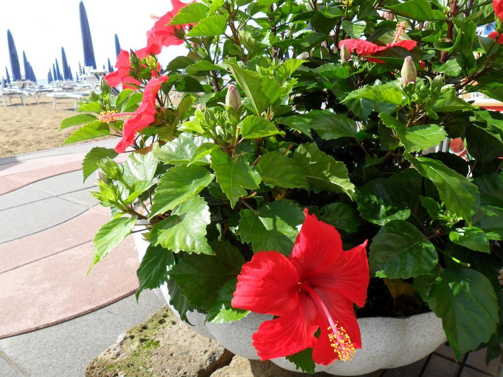 Hotel Telenia Jesolo Extérieur photo